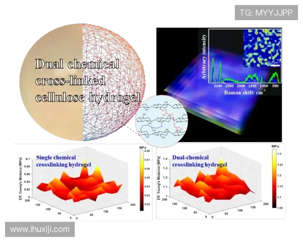 武汉极限运动队协作策略与团队配合的深入分析与探讨