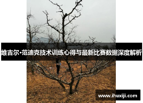 维吉尔·范迪克技术训练心得与最新比赛数据深度解析